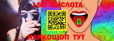 шишки Моздок