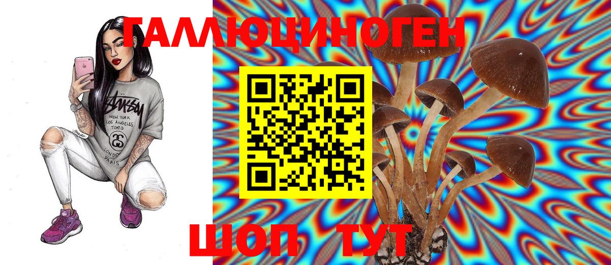 Галлюциногенные грибы MAGIC MUSHROOMS Чебоксары