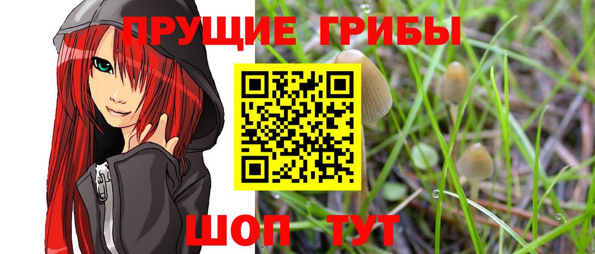 Псилоцибиновые грибы прущие грибы  Галлюциногенные грибы мицелий  где найти   Чебоксары 