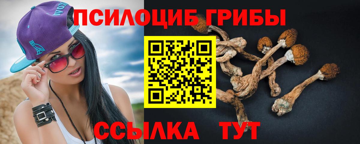 Псилоцибиновые грибы GOLDEN TEACHER Чебоксары